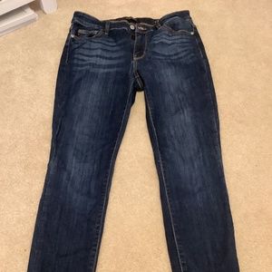 Judy Blue Skinny Fit jeans